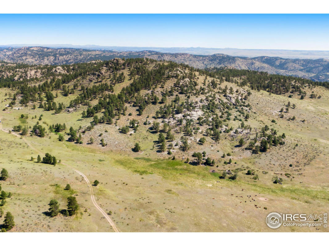 0 RED FEATHER LAKES RD # 7, LIVERMORE, CO 80536, photo 1 of 39