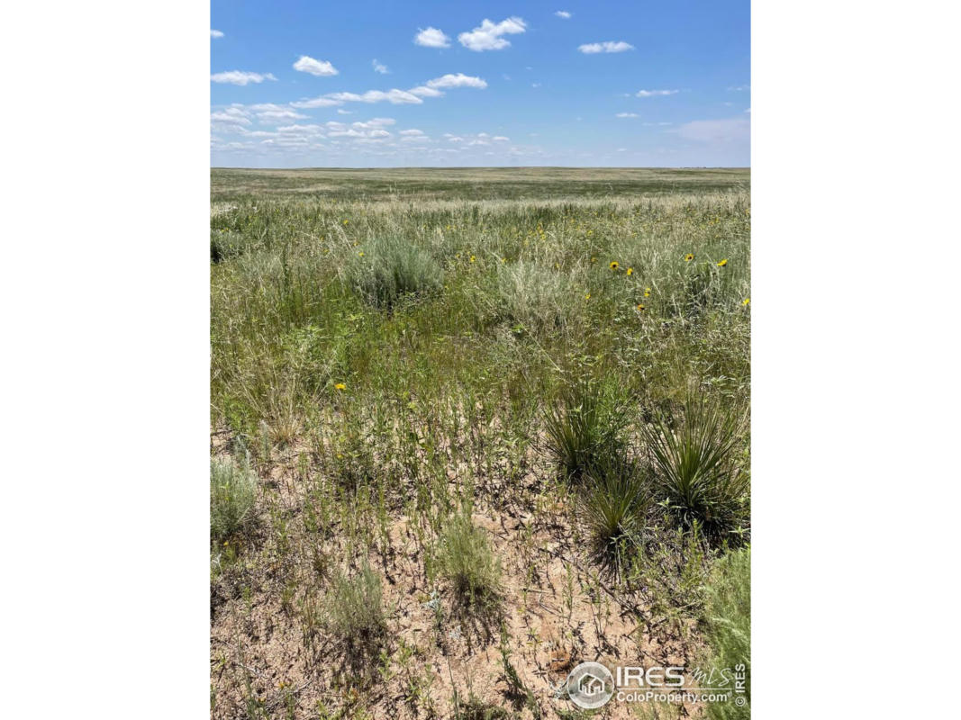0 COUNTY RD UU RD, AKRON, CO 80720, photo 1 of 3