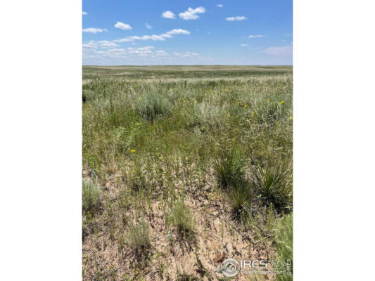 0 COUNTY RD UU RD, AKRON, CO 80720 - Image 1