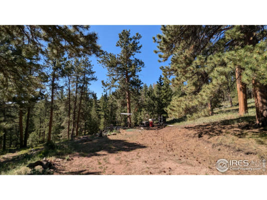 161 MIAMI CT, RED FEATHER LAKES, CO 80545 - Image 1