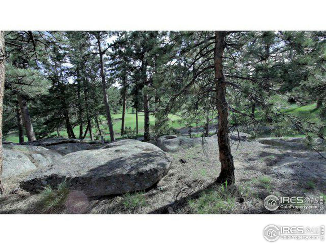 530 FOX ACRES DR W, RED FEATHER LAKES, CO 80545, photo 1