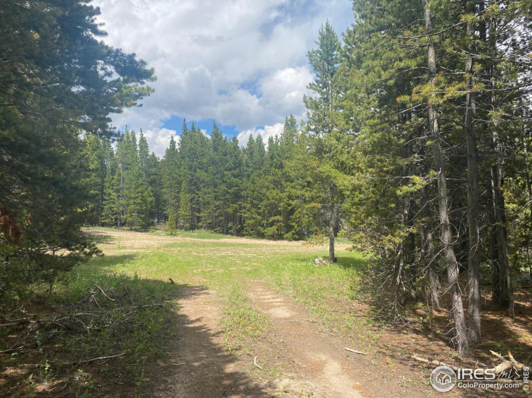 0 FOREST SERVICE 169 RD, RED FEATHER LAKES, CO 80545, photo 1 of 11