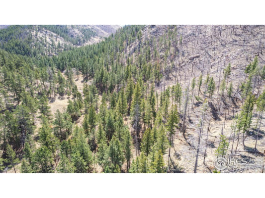 0 TBD STRATTON PARK RD # LOT 12, BELLVUE, CO 80512 - Image 1