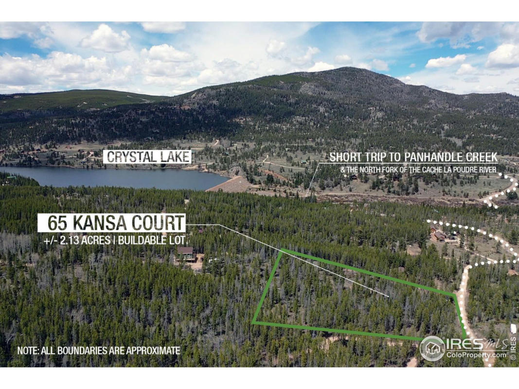 65 KANSA CT, RED FEATHER LAKES, CO 80545, photo 1 of 16