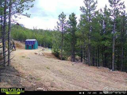 296 FLATHEAD DR, RED FEATHER LAKES, CO 80545, photo 4 of 39