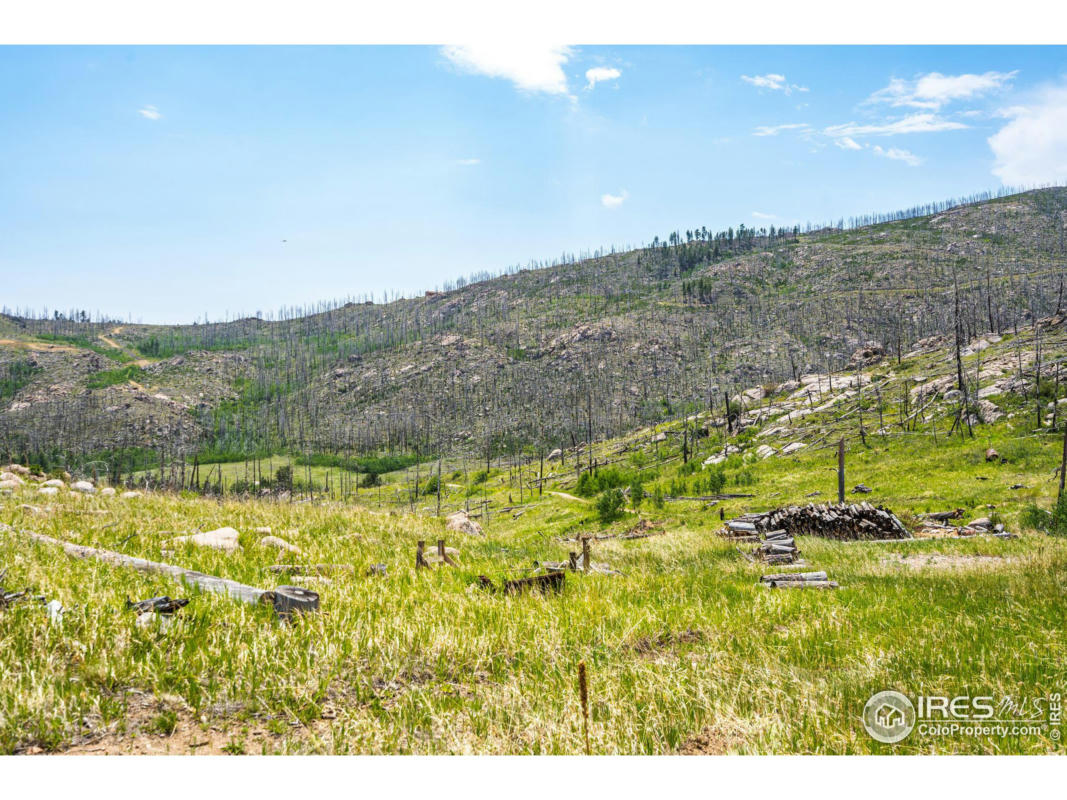 2384 RIST CREEK RD, BELLVUE, CO 80512, photo 1 of 30