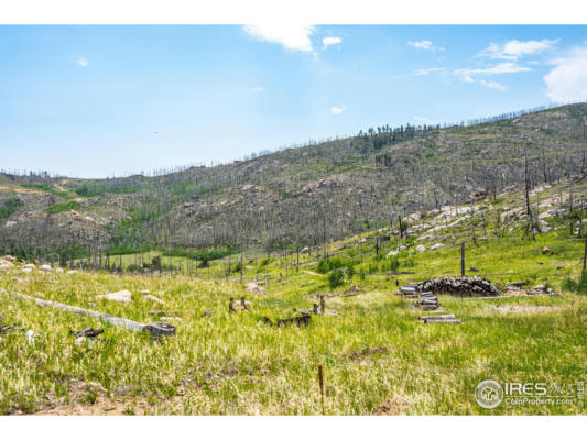 2384 RIST CREEK RD, BELLVUE, CO 80512 - Image 1