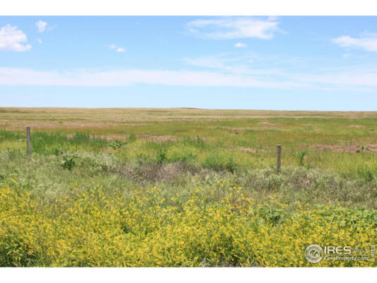 42085 COUNTY ROAD 80, BRIGGSDALE, CO 80611 - Image 1