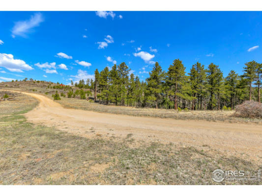 1012 COUNTY ROAD 87J, JAMESTOWN, CO 80455, photo 5 of 23