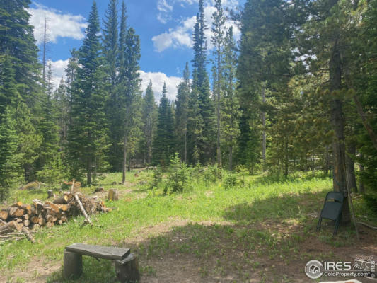 0 FOREST SERVICE 169 RD, RED FEATHER LAKES, CO 80545, photo 5 of 11