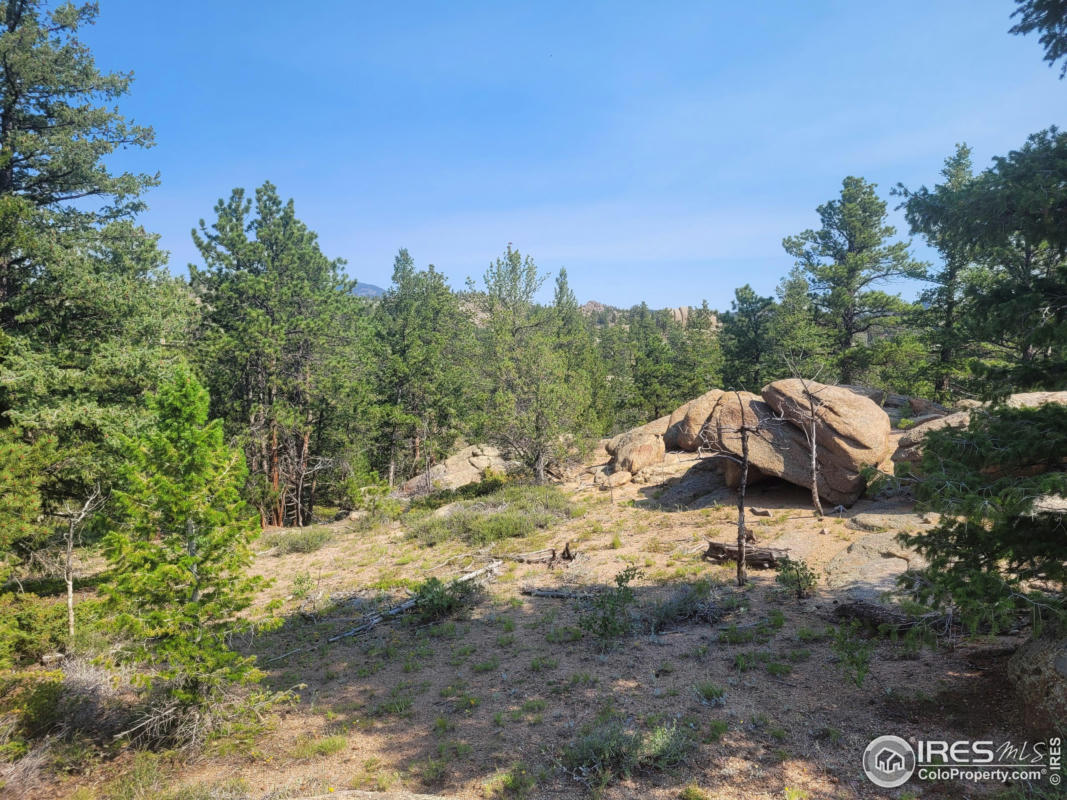 615 FOX ACRES DR W, RED FEATHER LAKES, CO 80545, photo 1