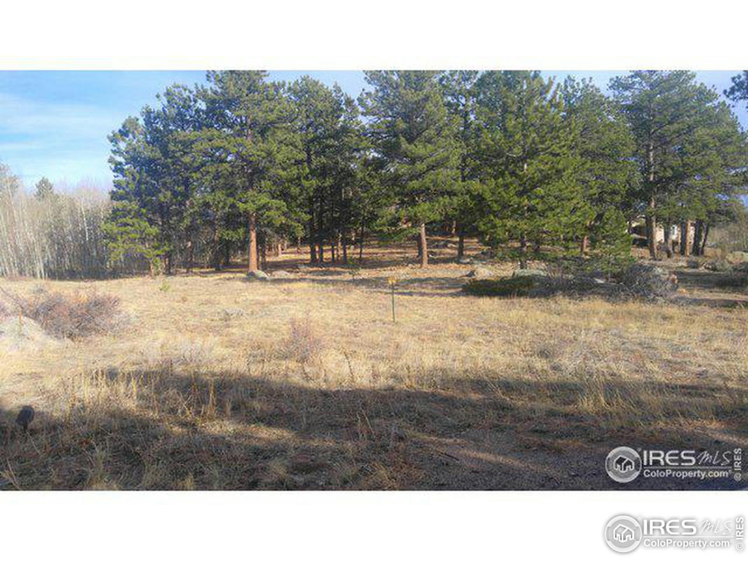 1 W FOX ACRES DR, RED FEATHER LAKES, CO 80545, photo 1 of 2