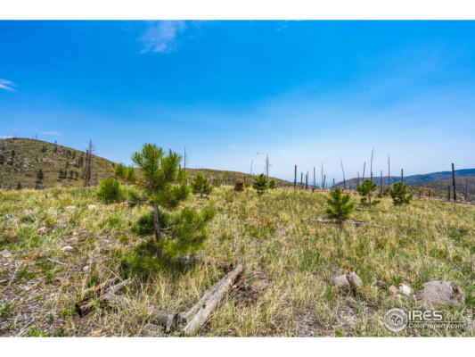 2384 RIST CREEK RD, BELLVUE, CO 80512, photo 2 of 40