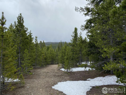 0 FOREST SERVICE 169 RD, RED FEATHER LAKES, CO 80545 - Image 1