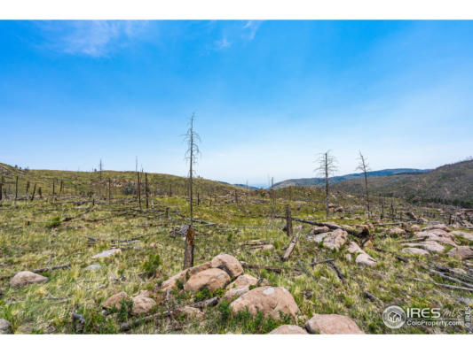 2384 RIST CREEK RD, BELLVUE, CO 80512, photo 4 of 40