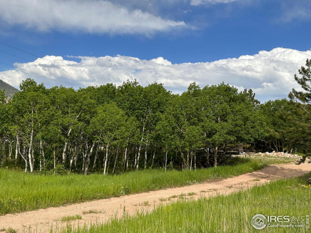 16950 HIGHWAY 7, LYONS, CO 80540, photo 1 of 5