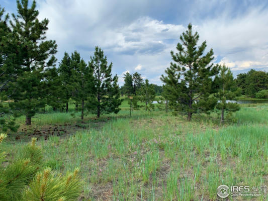 3 FOX MEADOW LN # LOT 3, RED FEATHER LAKES, CO 80545, photo 4 of 26