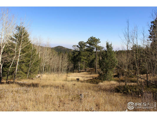 509 FOREST SERVICE, JAMESTOWN, CO 80455 - Image 1