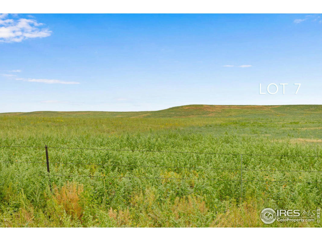 7 TBD COUNTY ROAD 122, CARR, CO 80612, photo 1 of 40
