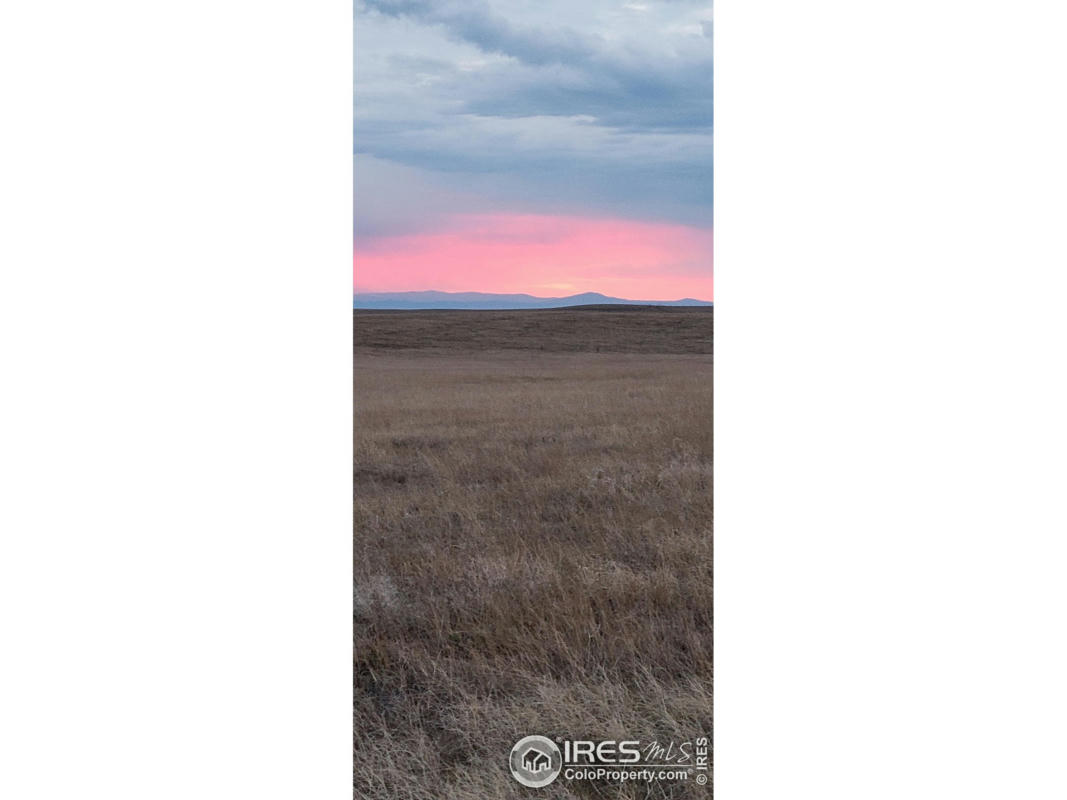 COUNTY ROAD 55, AULT, CO 80610, photo 1 of 20