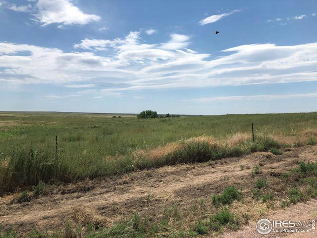 COUNTY ROAD 43 AND 96, PIERCE, CO 80650, photo 1