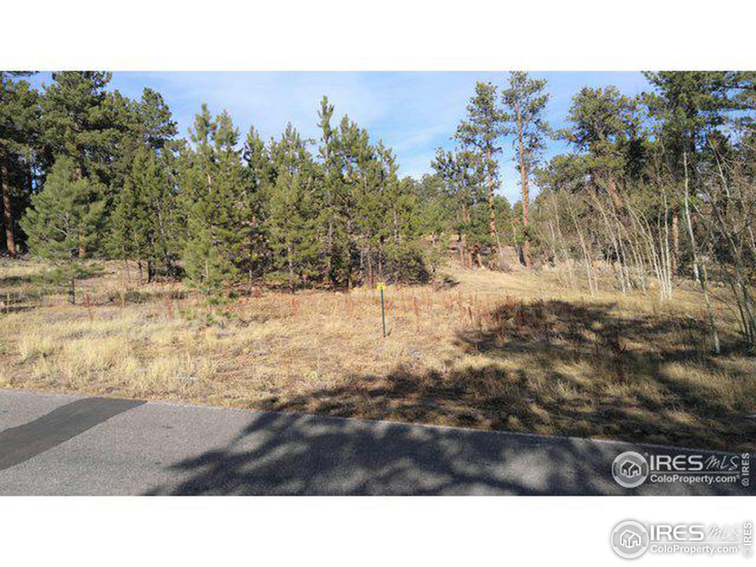 2 W FOX ACRES DR, RED FEATHER LAKES, CO 80545, photo 1 of 2