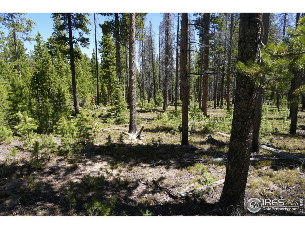 0 FOREST SERVICE 169 RD, RED FEATHER LAKES, CO 80545, photo 1 of 13