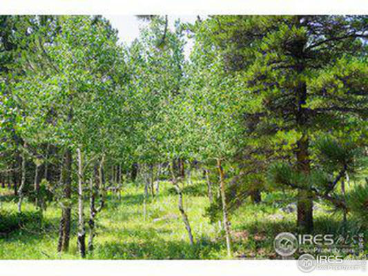 246 TAHOSA PARK SOUTH RD, ALLENSPARK, CO 80510, photo 3 of 6