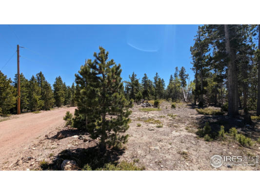 37 SHASTA WAY, RED FEATHER LAKES, CO 80545 - Image 1