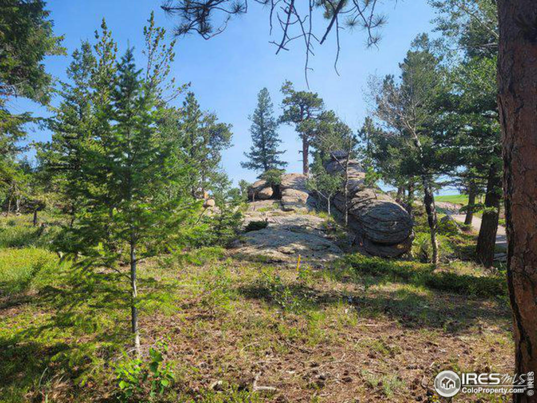 612 FOX ACRES DR W, RED FEATHER LAKES, CO 80545, photo 1